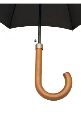 PARASOL