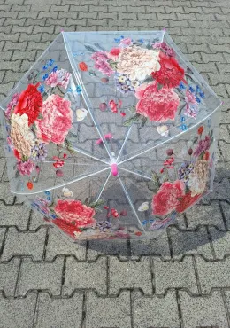 PARASOL