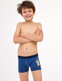 Bokserki Young 700/150 Capybara 2