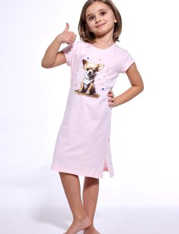 Koszula  Kids Girl 493/112 Chihuahua 98-128
