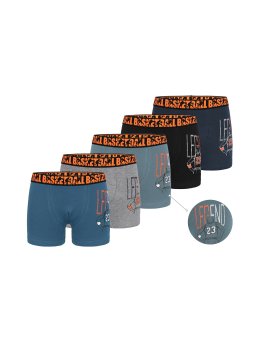 Bokserki  Boys 8071pb28