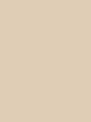 Rajstopy Elastil 20 DEN R.XL - kolor natural