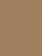 Rajstopy Fit Control 20 DEN - kolor tan