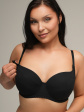 AVA 2203