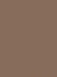 rajstopy agata plus - kolor beżowy
