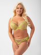 majtki gorsenia k 498/2 paradise brazyliany s-2xl