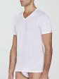 koszulka pierre cardin pc siviglia m-2xl - kolor bianco
