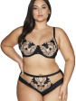 Figi AVA 2117 Sublime