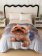 koc cotton world touch animal, 160x200