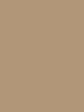 Rajstopy Total Slim 20 DEN - kolor natural