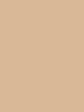 skarpetki damskie elastil - kolor visone
