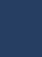 slipy męskie cotton - kolor navy 2 52c