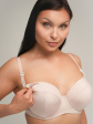 AVA 2203