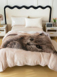 KOC Cotton World Touch Animal, 160x200: widok 10
