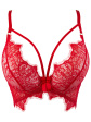 Axami V-9581