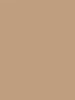 Figi Damskie 65 - kolor beżowy
