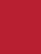 rajstopy passion kabaretki - kolor red