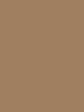 Rajstopy Comfort 40 DEN - kolor tan