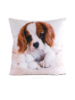 Poszewka Eurofirany Animal, 45x45: widok 6