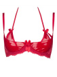 Axami V-6481 Rouge