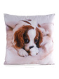 Poszewka Eurofirany Animal, 45x45: widok 8