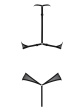 Passion Satara Body