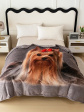KOC Cotton World Touch Animal, 160x200: widok 9