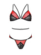 passion peonia set