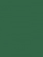 Rajstopy Dziewczęce Corina 120 DEN - kolor eden green, mikrofibra