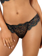 Stringi Axami V-10398