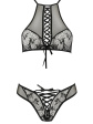 passion azalia set