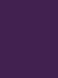Podkolanówki Microfibra - kolor violet 2
