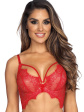 Axami V-9581