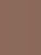 Rajstopy Penelopha 60 DEN - kolor bronzo