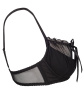 axami v-6451 charbon